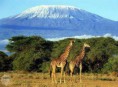 /album/fotogalerie/mount-kilimanjaro-jpg/